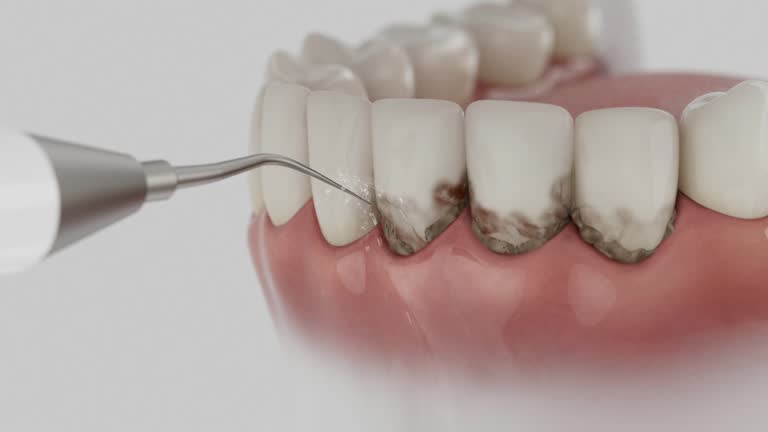 Reliable Dental contractor in Falmouth Foreside, ME by Dentist Open Now